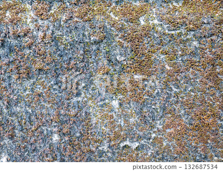 Mossy concrete wall Mossy concrete wall 132687534