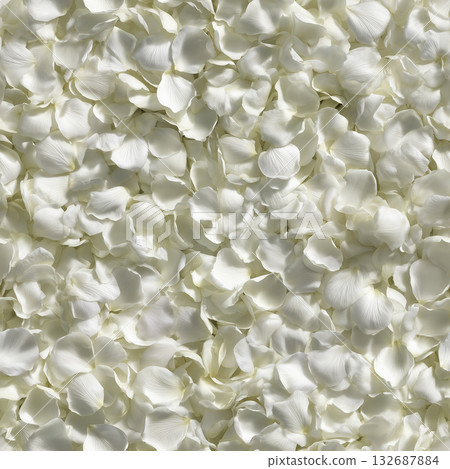 純白玫瑰花瓣的無縫背景紋理 132687884
