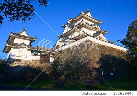 Iga Uenogi城堡塔 132689443