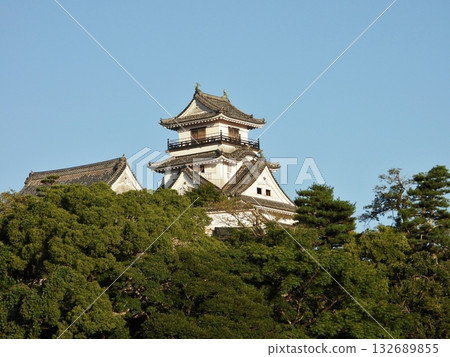 高知城,又名鷹城 高知城,又名鷹城 132689855