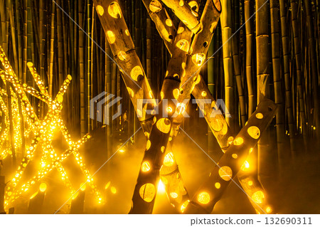 竹林中閃閃發光的竹子 132690311