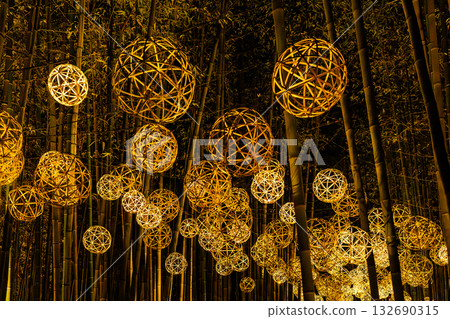 Winter illuminations shine Winter illuminations shine 132690315