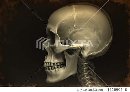 Retro X-ray 132690348