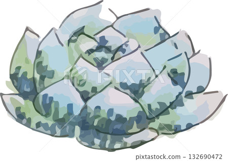 Cute hand-drawn watercolor cactus illustration Cute hand-drawn watercolor cactus illustration 132690472