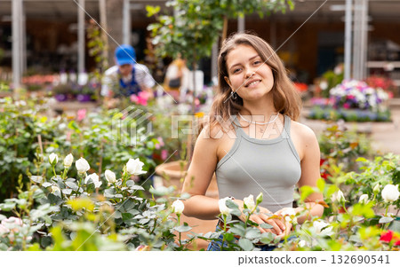 Girl near showcase with rose bushes chooses plant for decorating house flower bed in courtyard 132690541
