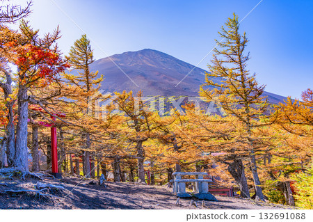 【山梨郡】富士山小禦嶽神社秋葉 132691088