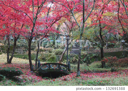 東鄉公園,秩父禦岳神社:落葉繽紛,景色宜人 / 埼玉縣飯能市,11月 東鄉公園,秩父禦岳神社:落葉繽紛,景色宜人 / 埼玉縣飯能市,11月 132691388