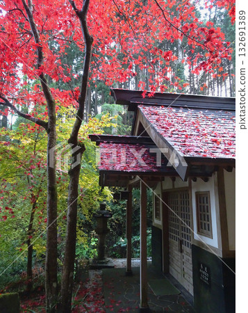 東鄉公園,秩父禦嶽神社:紅楓葉飄落屋頂,映襯著水淨化場所 / 埼玉縣飯能市,11月 東鄉公園,秩父禦嶽神社:紅楓葉飄落屋頂,映襯著水淨化場所 / 埼玉縣飯能市,11月 132691389