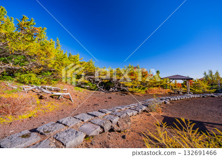 [Yamanashi Prefecture] Mount Fuji, gazebo on the inner garden promenade 132691466