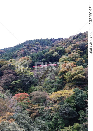箱根登山鐵道出山號誌站,列車在此以之字形線路交會。 箱根登山鐵道出山號誌站,列車在此以之字形線路交會。 132691674