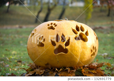 Carved pumpkin with paw prints for Halloween decorations in the autumn Carved pumpkin with paw prints for Halloween decorations in the autumn 132691779