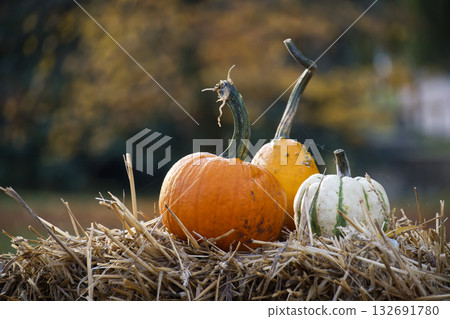Autumn harvest display featuring pumpkins and gourds on a hay bale Autumn harvest display featuring pumpkins and gourds on a hay bale 132691780