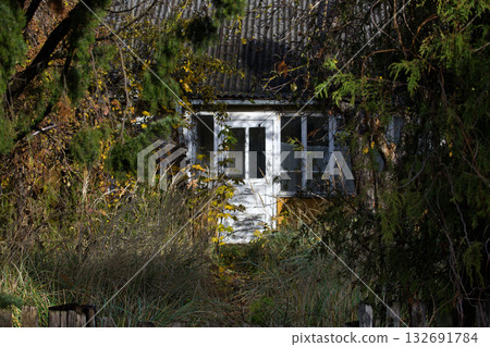 Abandoned White House Hidden Behind Dense Foliage In An Overgrown Forest Garden Scene Abandoned White House Hidden Behind Dense Foliage In An Overgrown Forest Garden Scene 132691784