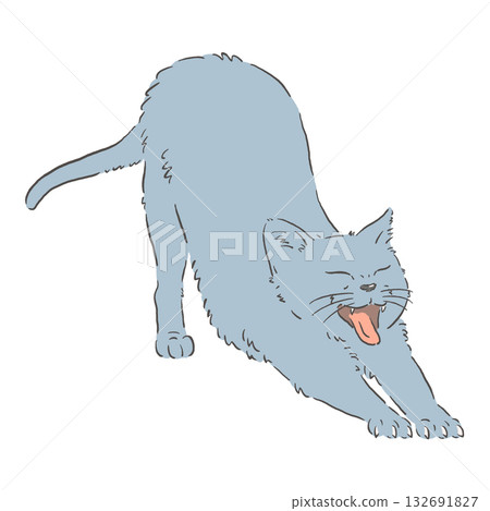 Illustration of a stretching cat (Russian Blue) Illustration of a stretching cat (Russian Blue) 132691827