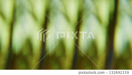 Defocused illumination overlay. Bright flare. Yellow green kaleidoscopic texture prism effect. Color luminosity abstract background. Defocused illumination overlay. Bright flare. Yellow green kaleidoscopic texture prism effect. Color luminosity abstract background. 132692159