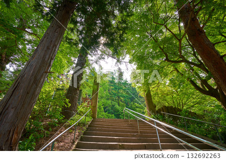 Stairs leading up to Mt. Iimori in Aizuwakamatsu City, Fukushima Prefecture (pilgrimage route) 132692263