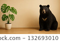 網路會議背景：生物（龜背竹 + 右側坐著一隻栩栩如生的亞洲黑熊） 132693010