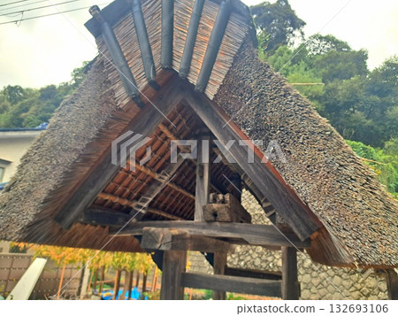 Thatched roof 132693106