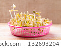 Mung bean sprouts are growing in pink basket, Food ingredient in Asian cuisine 132693204