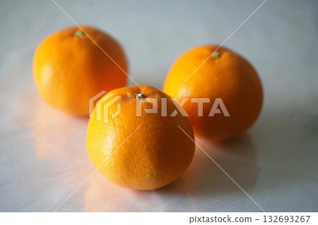 早春水果：春美蜜柑 132693267