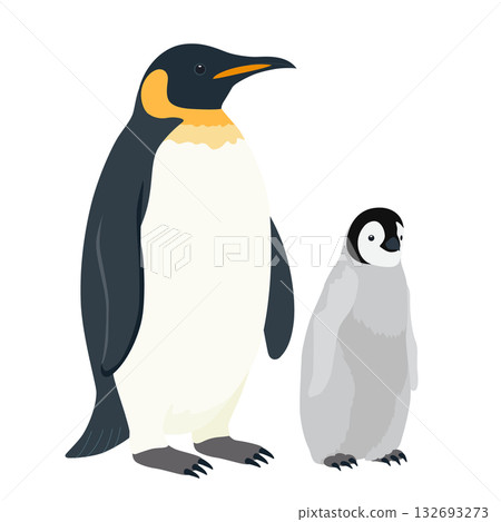 母企鵝的父母和孩子 132693273