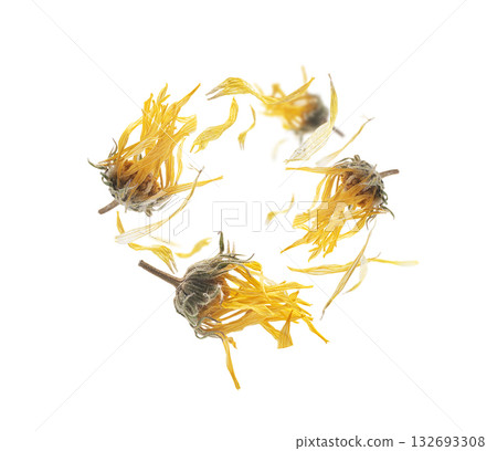 Dry dandelion flowers levitate on a white background Dry dandelion flowers levitate on a white background 132693308