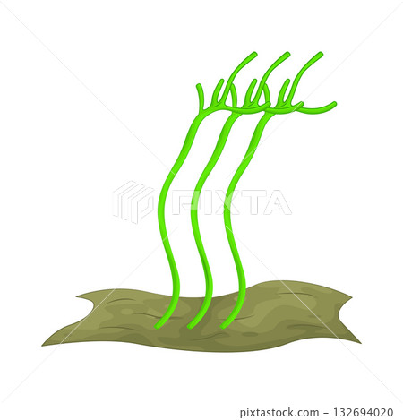 Illustration of algae 132694020
