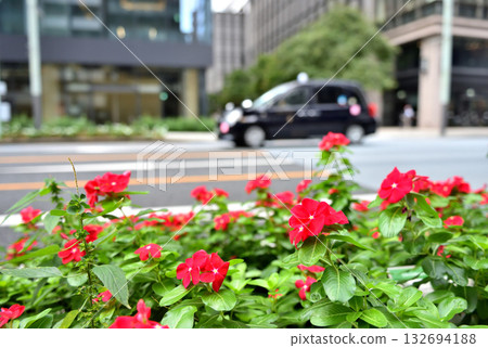京橋人行道上盛開的紅花和一輛計程車 132694188