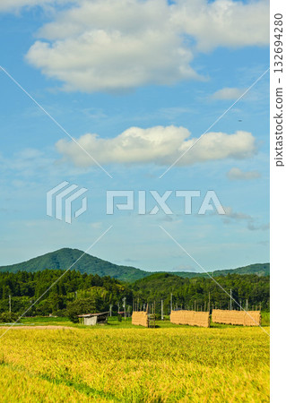 Autumn in Noto with rice ears spreading Autumn in Noto with rice ears spreading 132694280