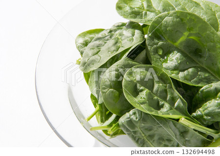 嫩菠菜 嫩菠菜 132694498