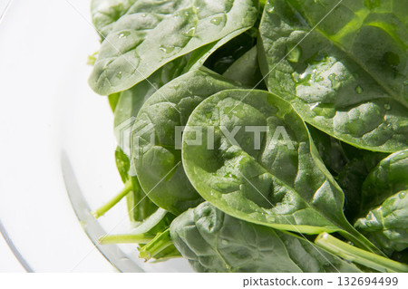 Baby Spinach 132694499