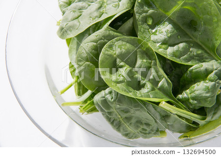 嫩菠菜 嫩菠菜 132694500