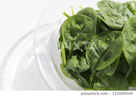 Baby Spinach 132694504