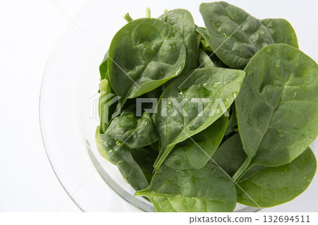嫩菠菜 嫩菠菜 132694511