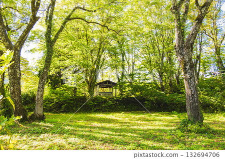 Hakuba National Recreation Area Campsite 132694706