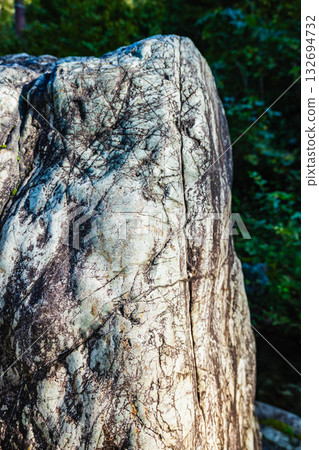 翡翠原石 132694732