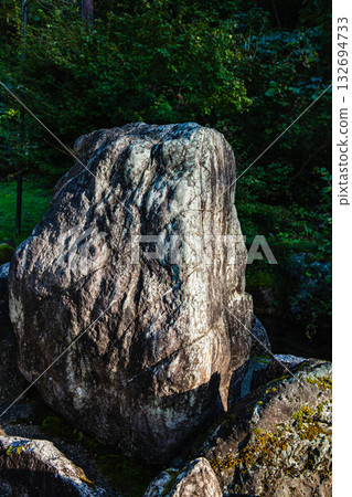 翡翠原石 132694733