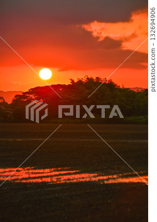 Sunrise over the Kahokugata reclamation area 132694906