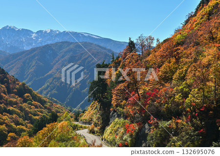 Hakusan Shirakawa-go White Road in Nishiki Autumn Hakusan Shirakawa-go White Road in Nishiki Autumn 132695076