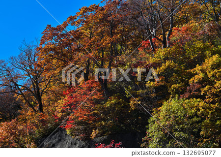 Hakusan Shirakawa-go White Road in Nishiki Autumn Hakusan Shirakawa-go White Road in Nishiki Autumn 132695077