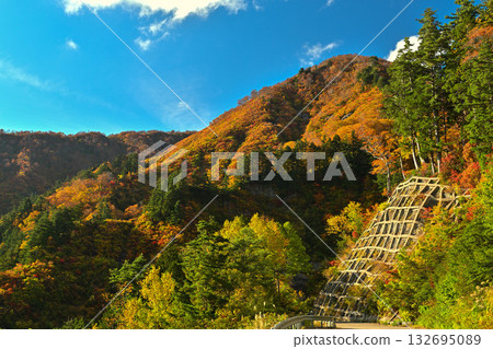 Hakusan Shirakawa-go White Road in Nishiki Autumn 132695089