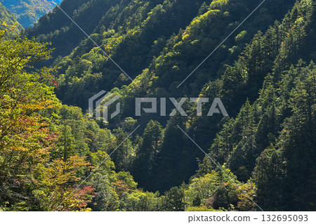Hakusan Shirakawa-go White Road in Nishiki Autumn 132695093