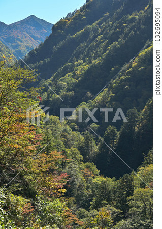 Hakusan Shirakawa-go White Road in Nishiki Autumn Hakusan Shirakawa-go White Road in Nishiki Autumn 132695094