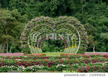 Agriculture, Color Image, Community Garden, Cultivated, Environment 132695626