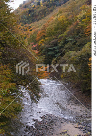 Autumn leaves in Nishizawa Valley, Yamanashi Prefecture Autumn leaves in Nishizawa Valley, Yamanashi Prefecture 132695855