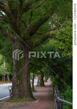 Ise Miyuki Road 132696039