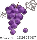 Cute hand-drawn watercolor grapes / fruits / fruit 132696087