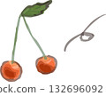Cute hand-drawn watercolor cherry/fruit 132696092