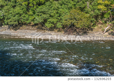 宇治川風景 京都府宇治市 132696203
