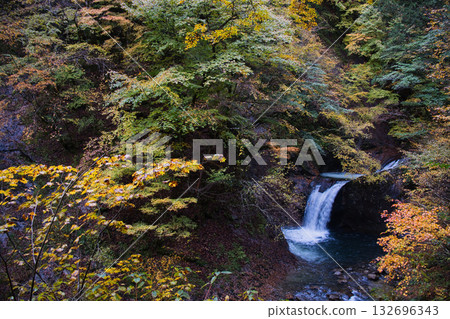 Autumn leaves in Nishizawa Valley, Yamanashi Prefecture 132696343